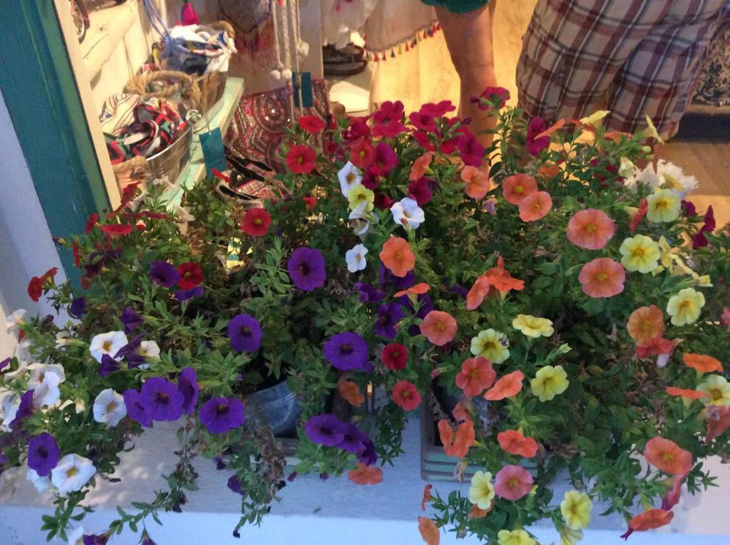 ナルドにあるL'abadessaのテーブルの上の色鮮やかな花束