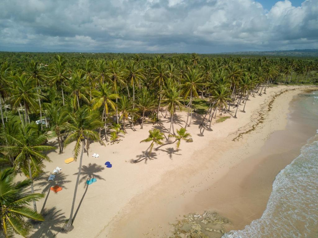 an aerial view of a beach with palm trees at Baoba Beach in Cabrera