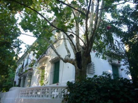 a white house with a tree in front of it at Apartamentos Los Manueles in Tolox