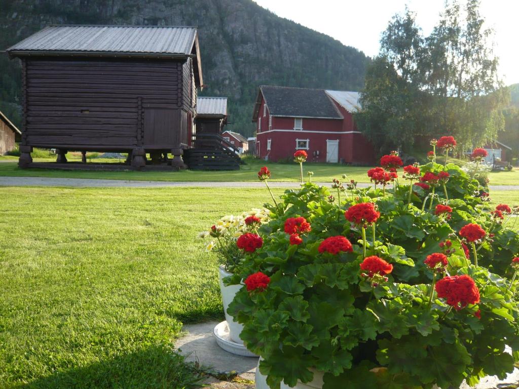 Zahrada ubytování Hagaled Gjestegård