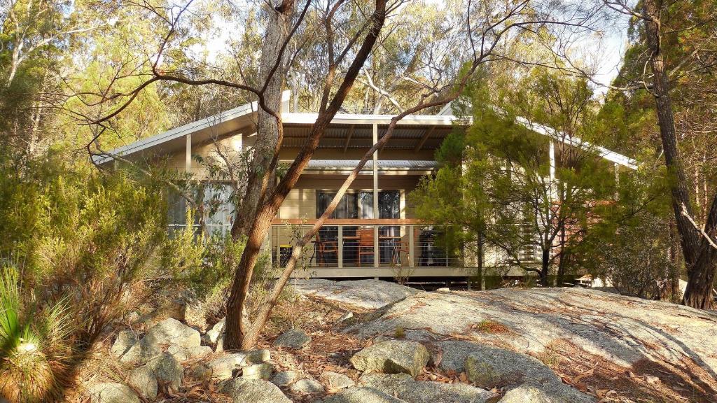 a house in the middle of the forest at 31 The Rocks in Stanthorpe