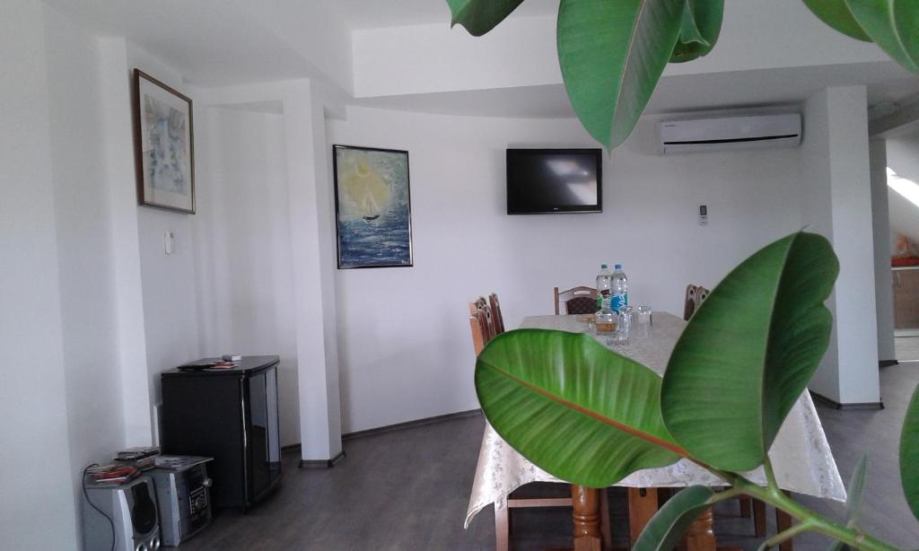Setaliste Apartment