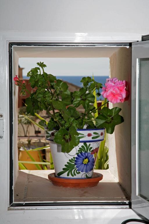 Fotografie z fotogalerie ubytování Cueva con Vista v destinaci Alicante