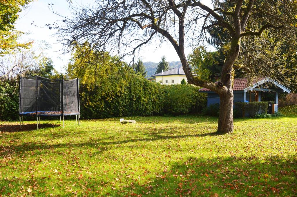 Zahrada ubytování Villa Viola