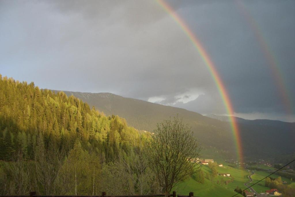 Příroda nedaleko apartmánu