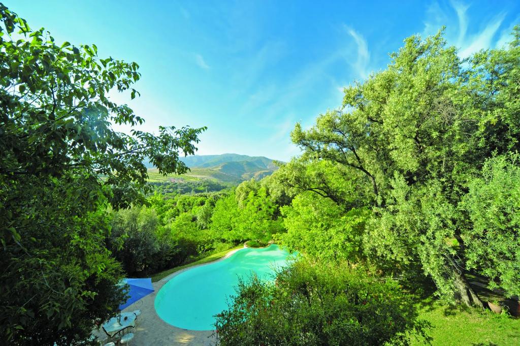 una vista aérea de una piscina rodeada de árboles en MAROC LODGE Atlas Mountain Retreat, en Amizmiz