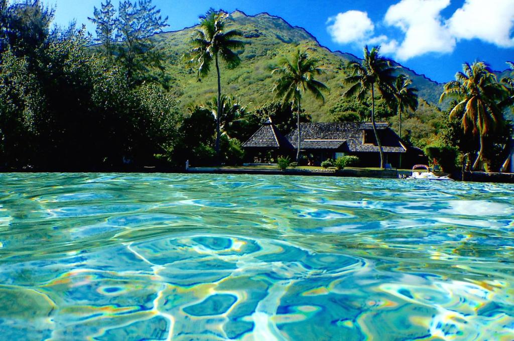 une piscine d'eau avec une maison en arrière-plan dans l'établissement Poerani Moorea, à Moorea