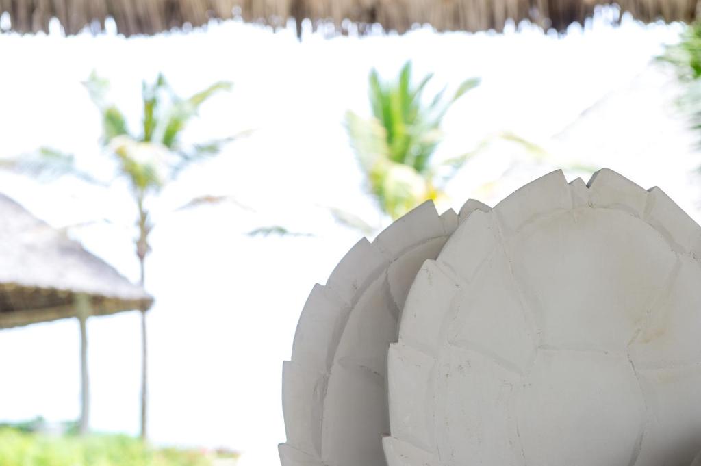 Fotografie z fotogalerie ubytování Zawadi Hotel, Zanzibar v destinaci Michamvi