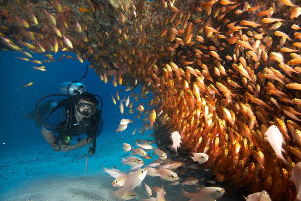 Hosté ubytování Zawadi Hotel, Zanzibar