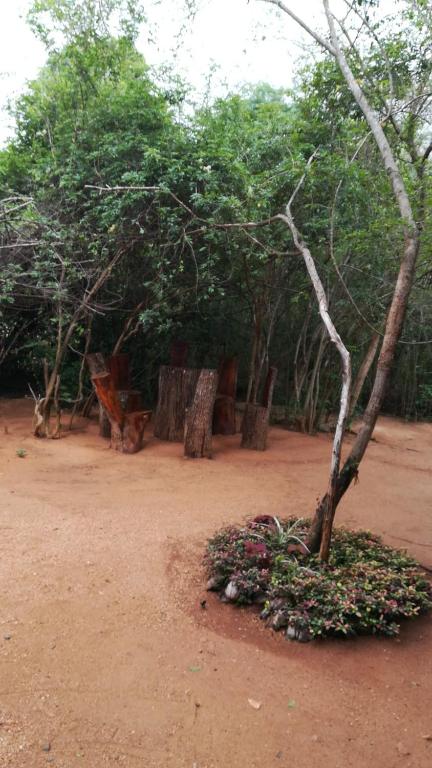 Fotografie z fotogalerie ubytování Hidden Jungle Village v destinaci Wilpattu
