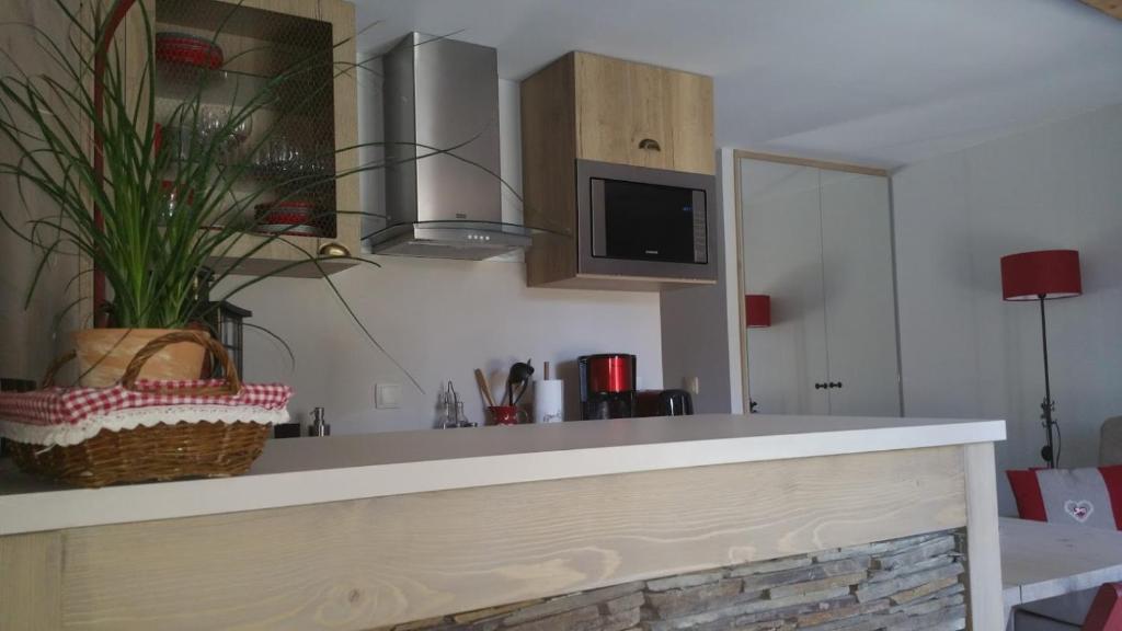 Kuchyň nebo kuchyňský kout v ubytování Chalet ZenArcs