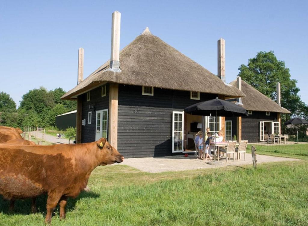 a cow standing in the grass in front of a building at Erve Woolderink in Wierden