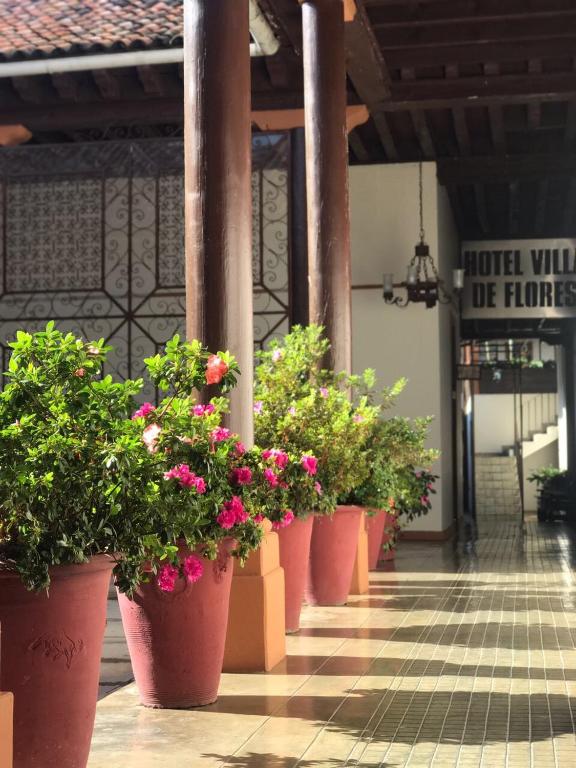 Fotografie z fotogalerie ubytování Hotel Villa de Flores v destinaci Uruapan del Progreso