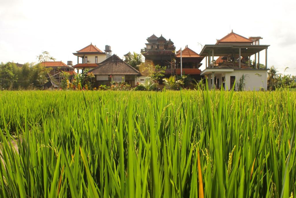 Zahrada ubytování Cenik House Ubud
