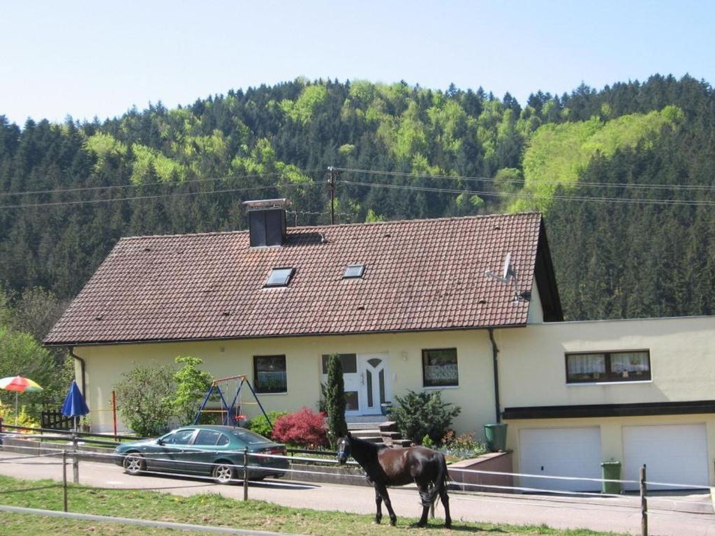 un caballo parado frente a una casa en Ferienwohnung Dörflinger en Ottenhöfen