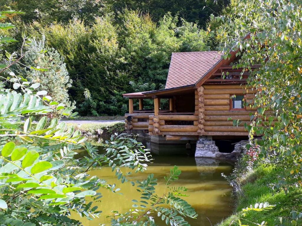a log cabin in the middle of a pond at Rancho 555 in Uzhhorod