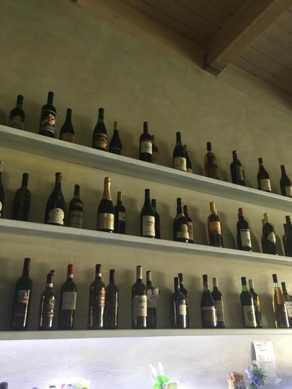 un montón de botellas de vino en estanterías en una pared en America, en Oliveri