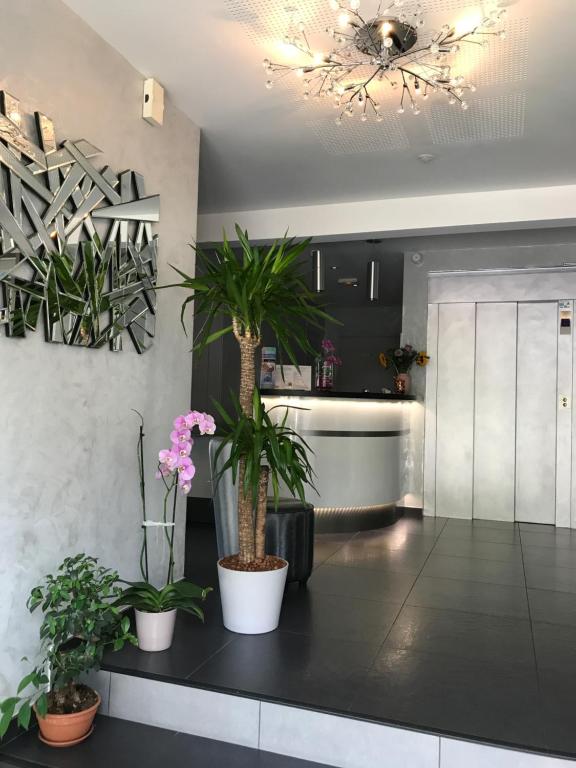 a kitchen with potted plants on a black counter at Auv'hôtel in Mauriac