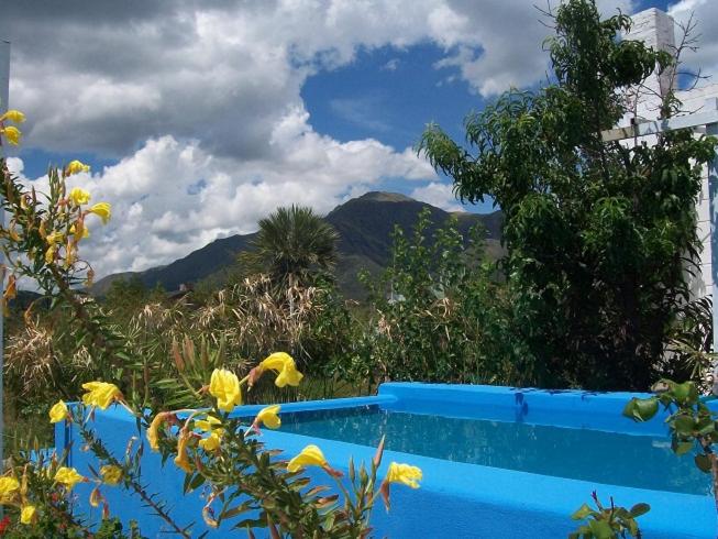 a blue pool with yellow flowers and mountains in the background at Hosteria Aura Azul (ex Ser Azul) in Capilla del Monte