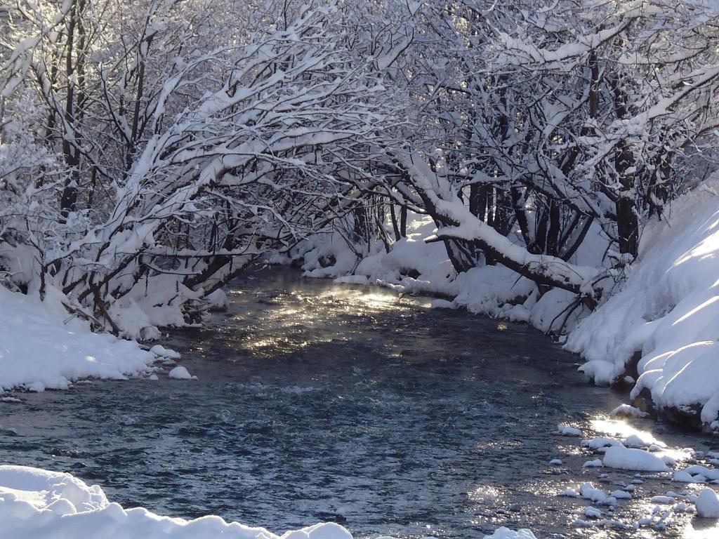 a snow covered forest with a stream and trees at Rock Noir & Spa in La Salle-les-Alpes