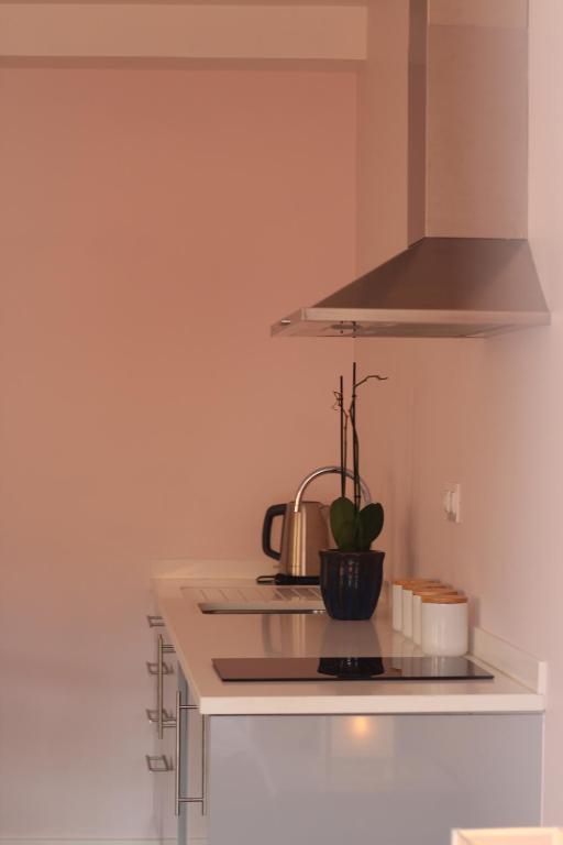 Kuchyň nebo kuchyňský kout v ubytování Apartments VMadeira