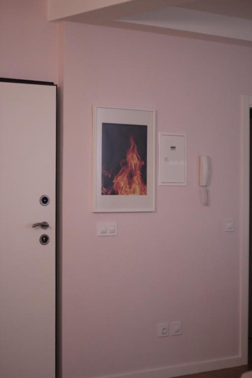 Fotografie z fotogalerie ubytování Apartments VMadeira ve Funchalu