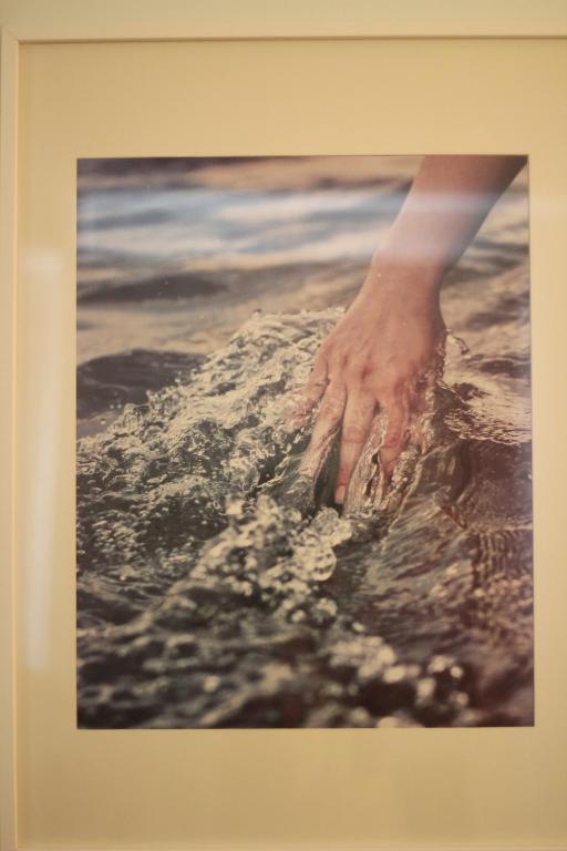 Fotografie z fotogalerie ubytování Apartments VMadeira ve Funchalu
