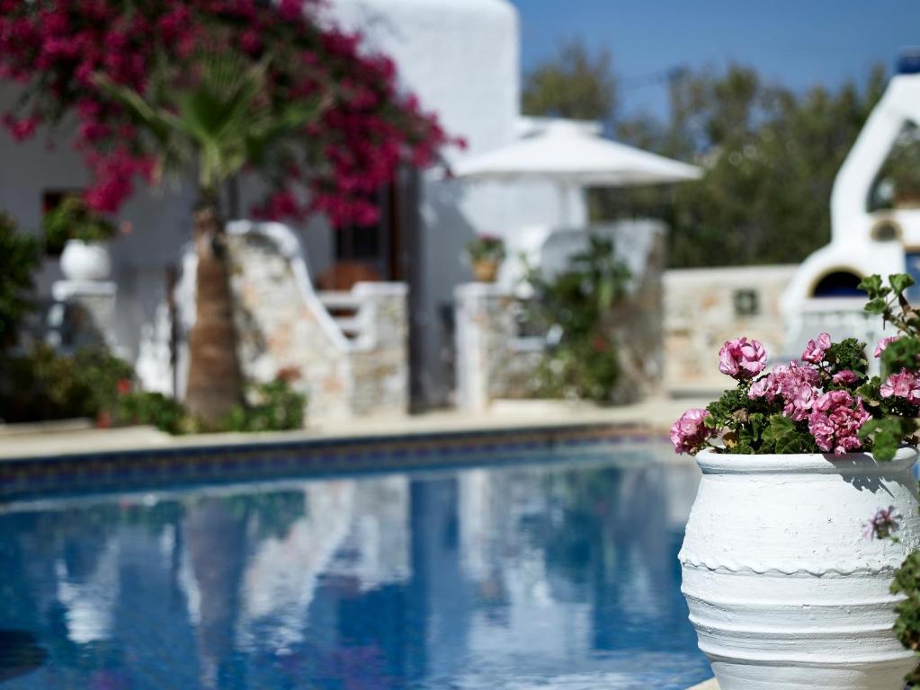 a white vase filled with flowers next to a pool at Polikandia Hotel in Chora Folegandros