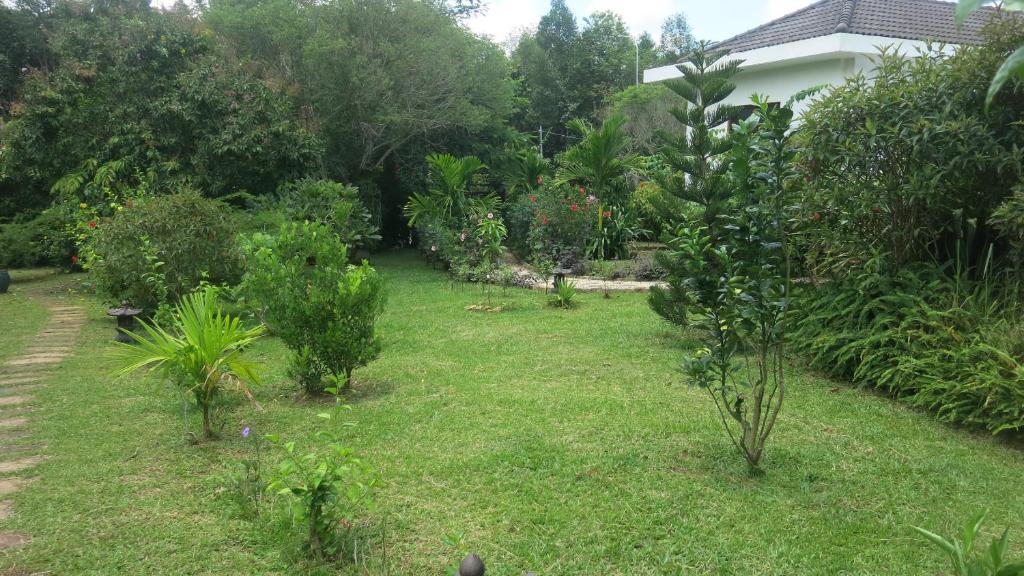 Zahrada ubytování Phu Quoc Private Villa