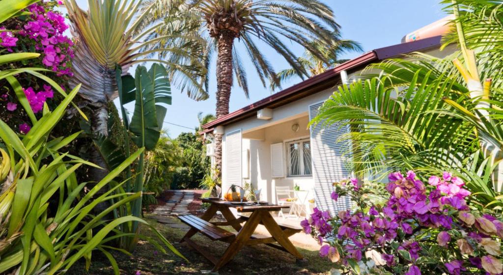 einen Garten mit einem Tisch und einer Palme in der Unterkunft A La Maison De Nani in Saint-Paul