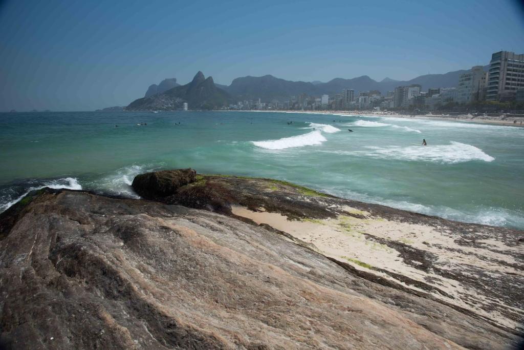  Arpanema PenamRio