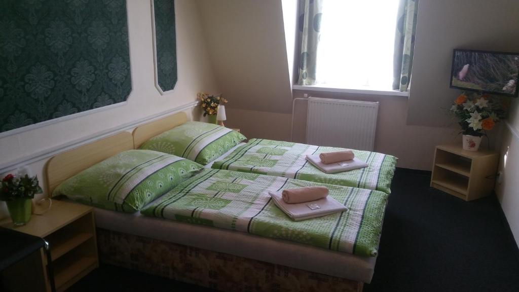 Pension Velický Zámocek - Resim 15