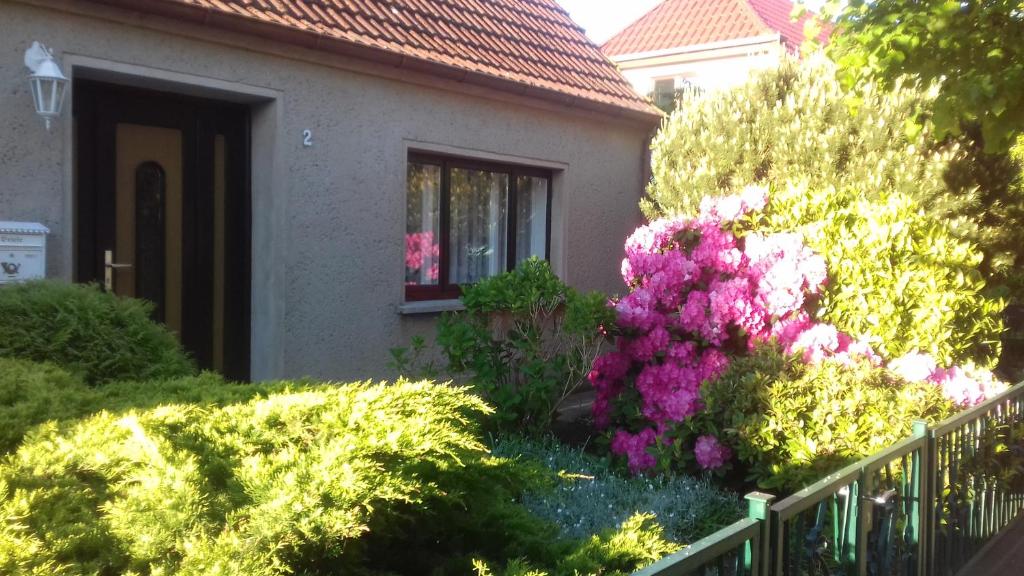 オストゼーバート・ディアーハーゲンにあるFerienwohnung in Boddennäheの塀前の茂みと花の家