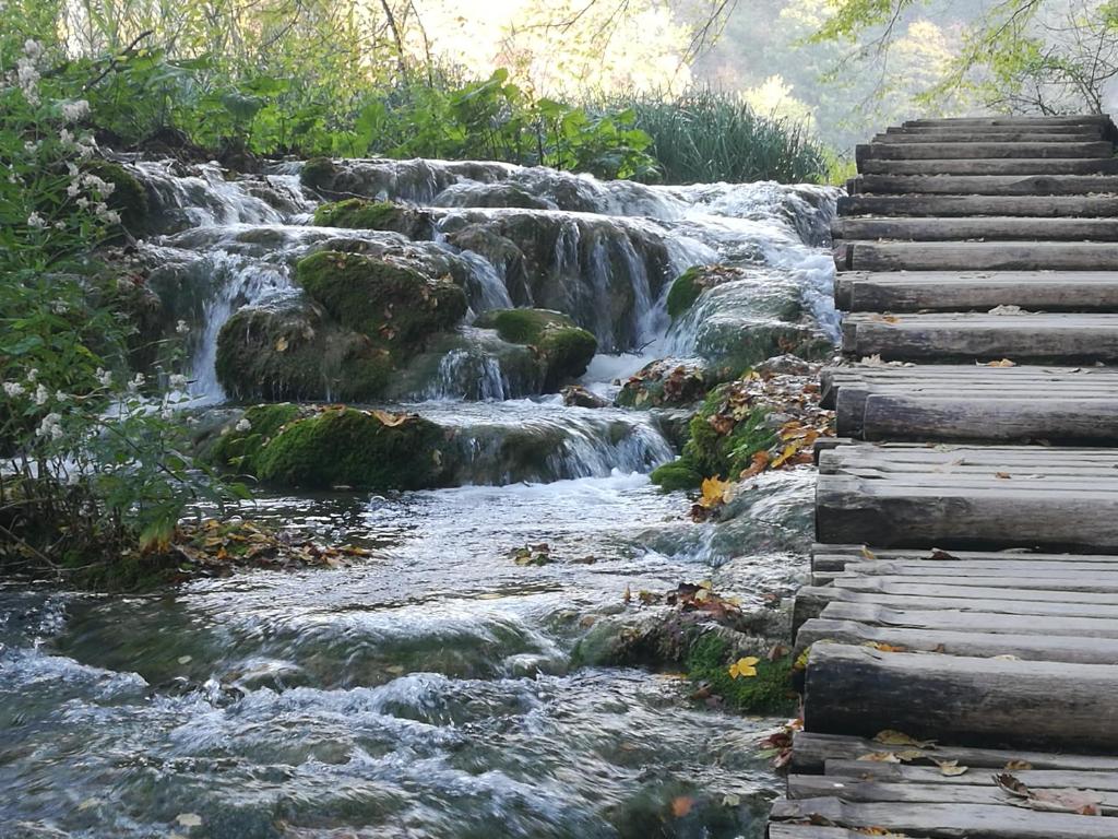 strumień ze schodami obok wodospadu w obiekcie Holiday Home Lana w mieście Korenica