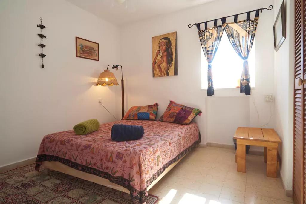 a bedroom with a bed and a window at Irit's Apartment in Neve Ilan