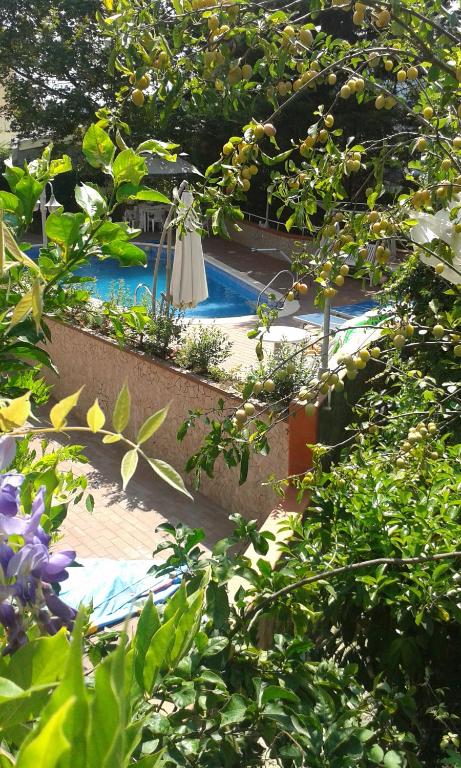 Villa Elvira - One-Bedroom Apartment With Pool Access