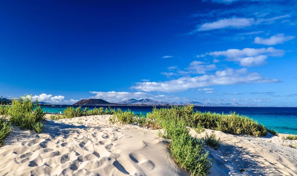 Gallery image of GreenTree House in Corralejo