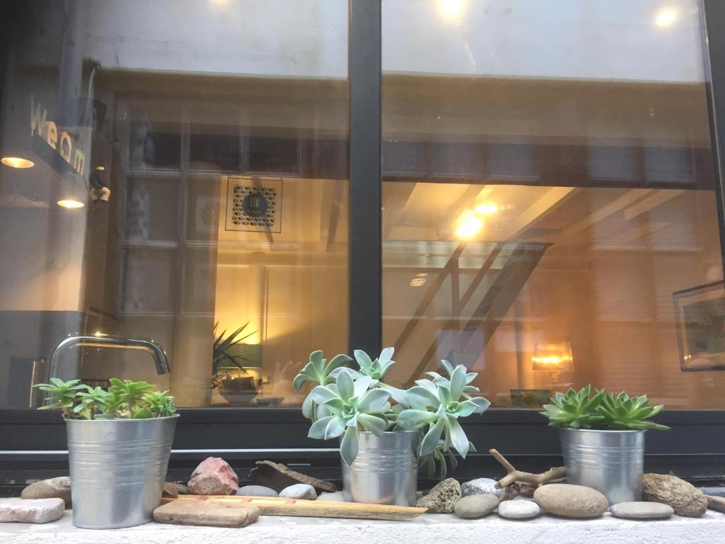 trois plantes en pot assises sur un rebord de fenêtre dans l'établissement Cabanon de pêcheur, à Marseille