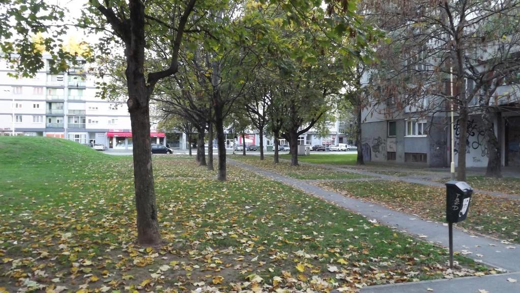 Studio Apartment Vijenac - 17