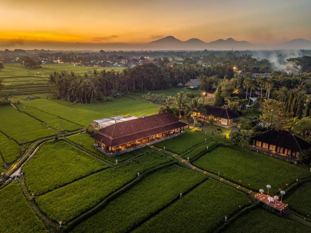 TOP 10 Mejores Hoteles de Lujo en Ubud, Bali 116217705