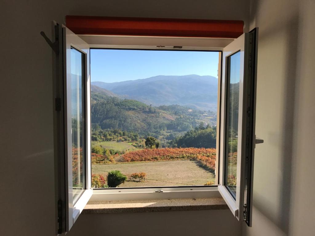 una ventana con vistas a un viñedo en Casinha Minhota, en Eirado