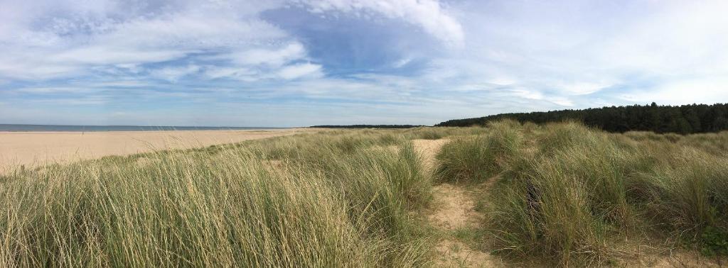 a field of tall grass on a beach at The Globe Inn in Wells next the Sea