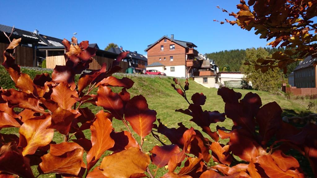 Ein Haufen Blätter auf einem Hügel mit einem Haus im Hintergrund in der Unterkunft Ferienwohnung Elisabeth in Klingenthal