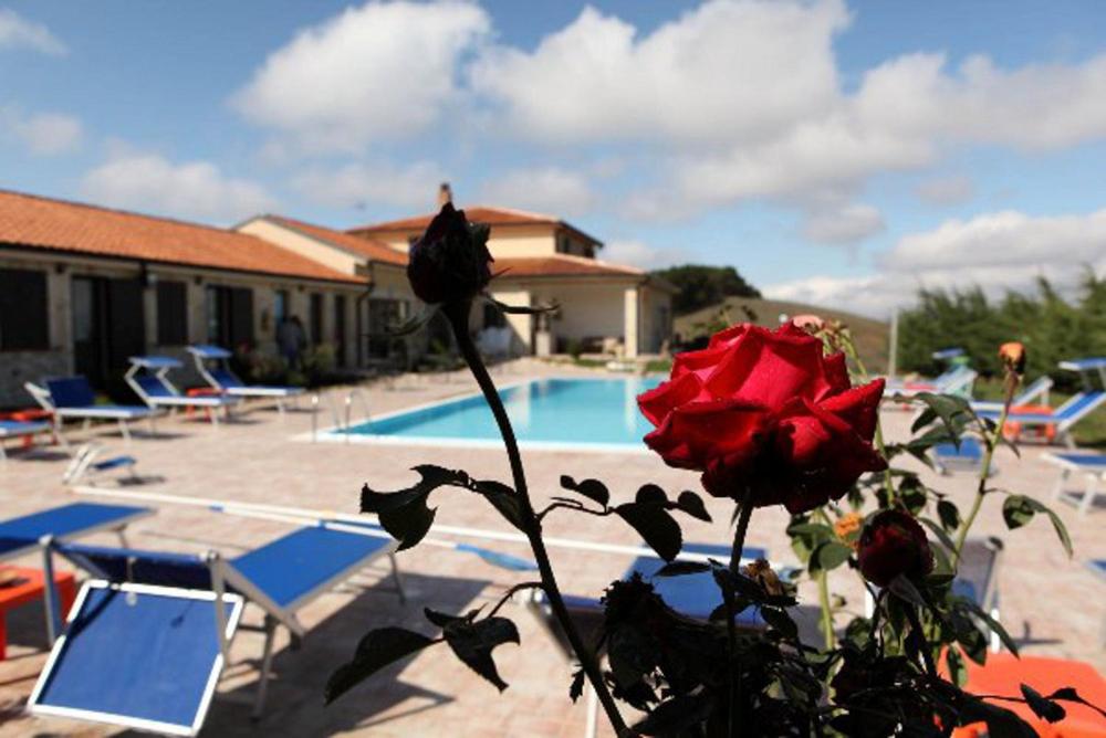 a red rose in a vase next to a pool at Agriturismo Mandriagiumenta in Caltavuturo