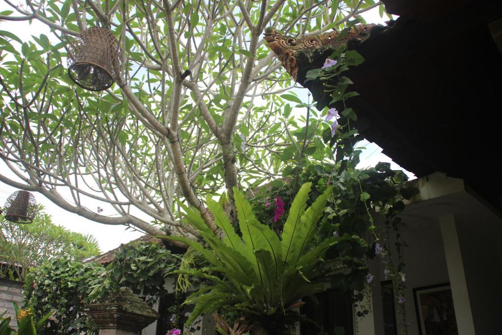 Zahrada ubytování Ubud Rooms B&B