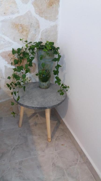 Fotografie z fotogalerie ubytování Anthi's Cottage v destinaci Kastellánoi