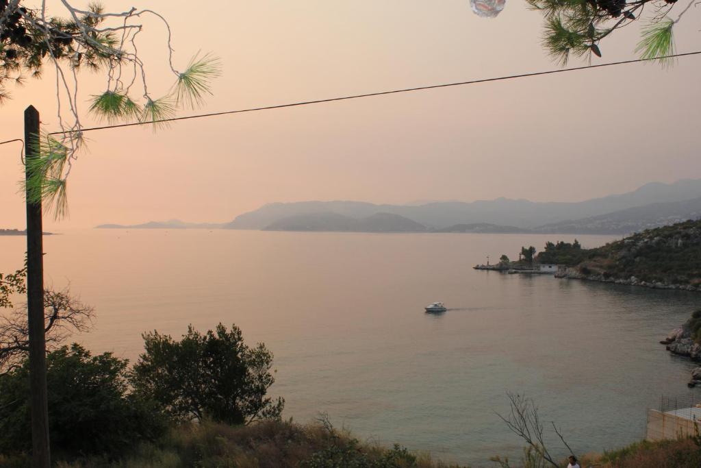 Príroda v okolí vily