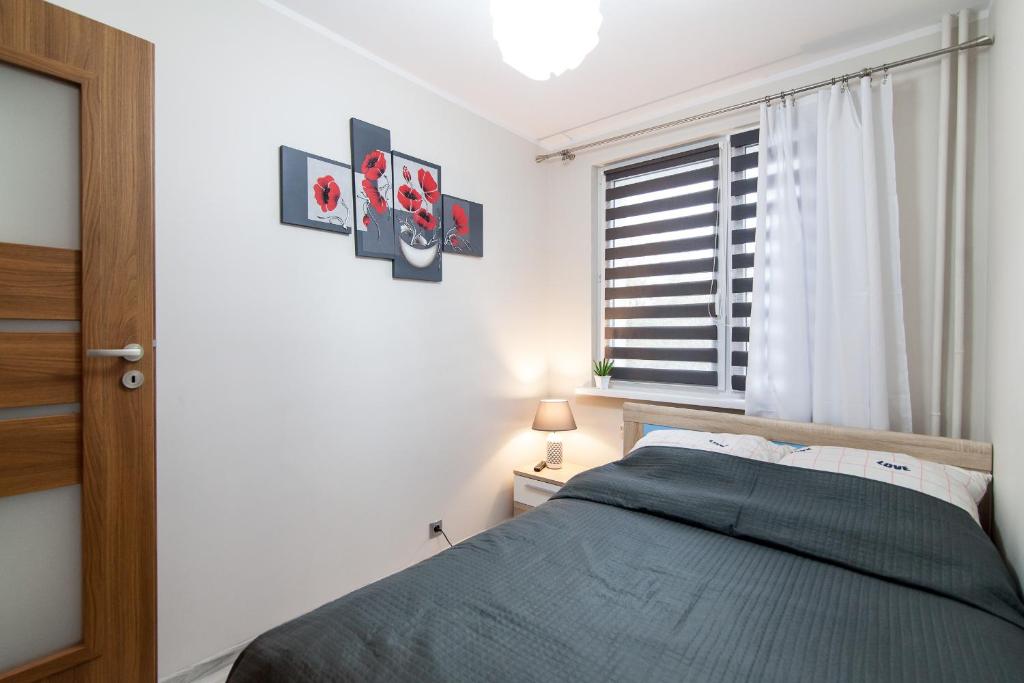 比亞韋斯托克的住宿－Żabia Flat，一间卧室设有一张床和一个窗口