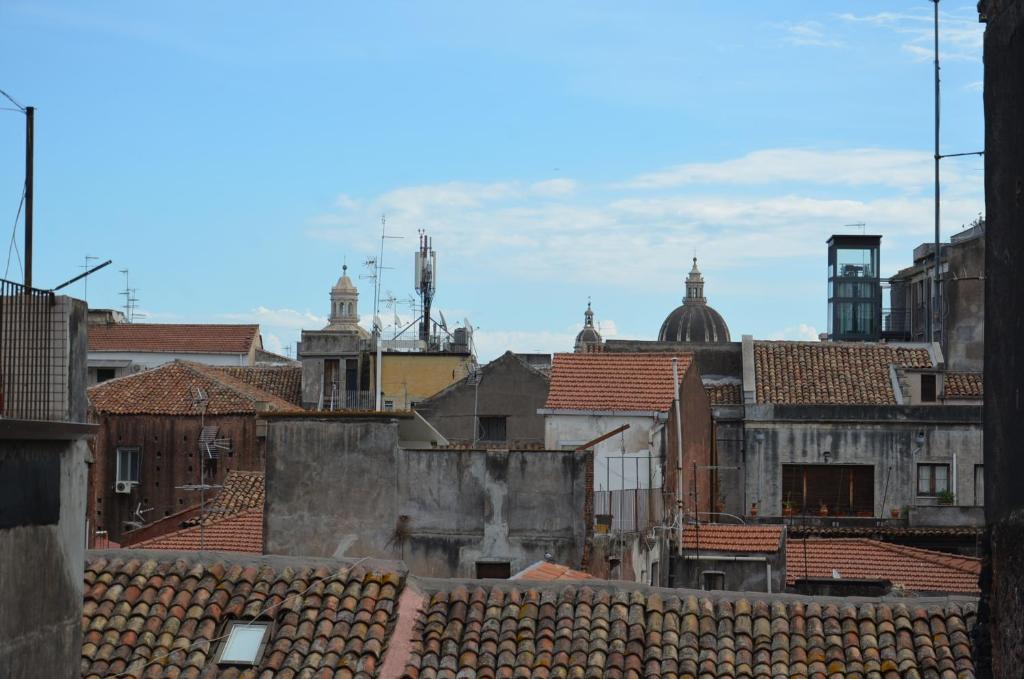 カターニアにあるTerrazza sul baroccoの屋根と建物のある街並み