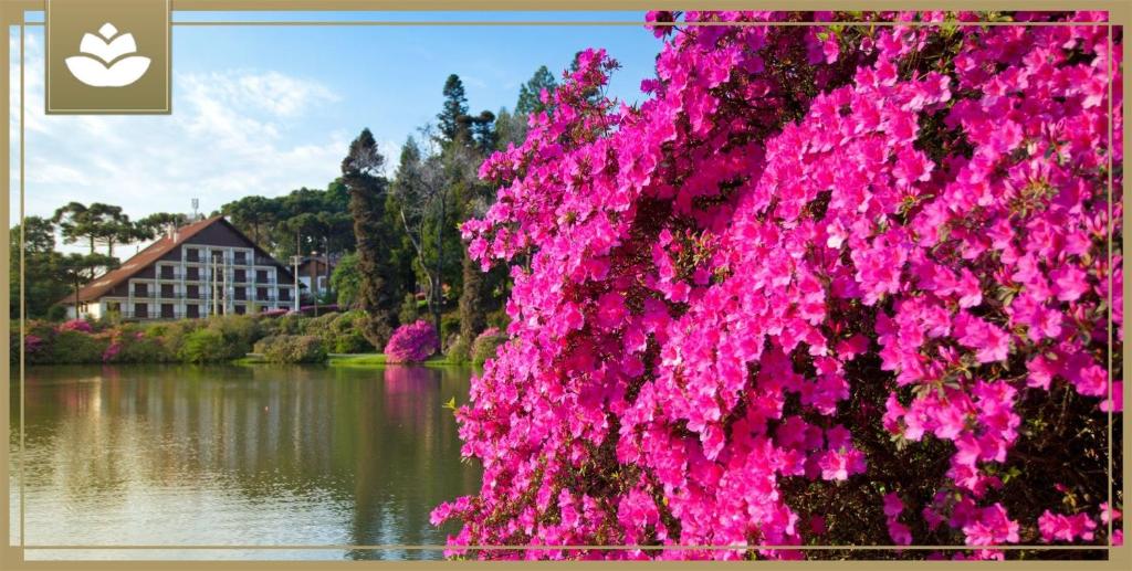  Aluguel Por Temporada Jcl